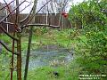 2002-1229FloodedPond